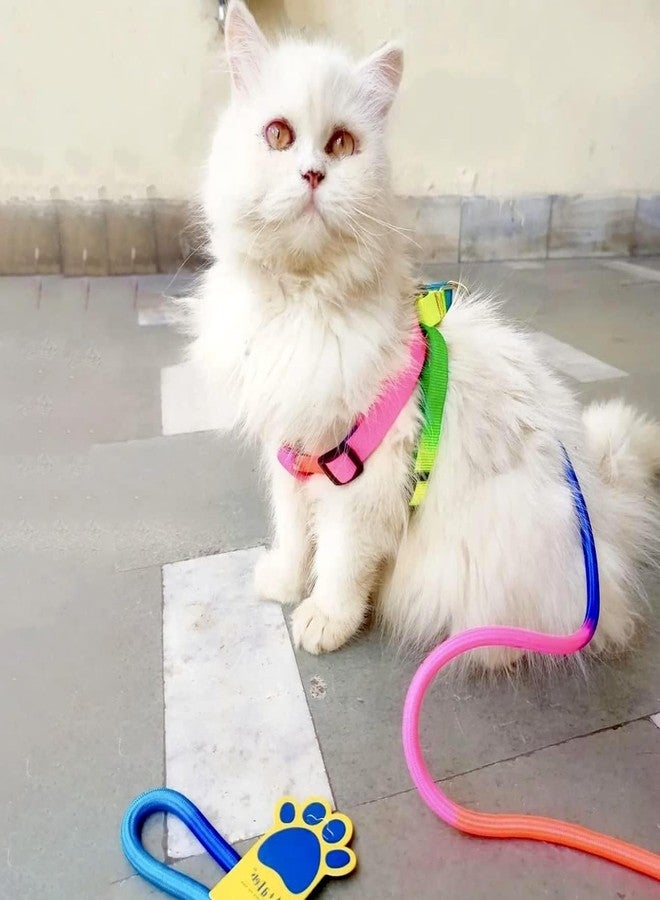 A+a Pets' Harness and Leash Set, Colourful Combo in Rainbow for Cats and Dogs (S, Rainbow) - Image 2